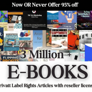 3 Million+ Ebooks + 3 Million PLR Articles Bonus with reseller rights